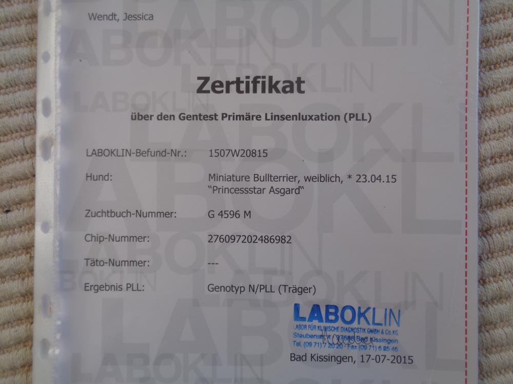 Zertifikat PLL Untersuchung (Träger)